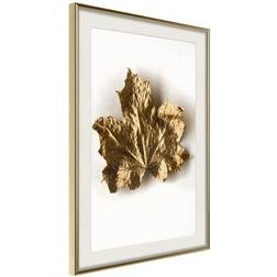 Arkiio Affisch Golden Maple [Poster] 20x30 Poster